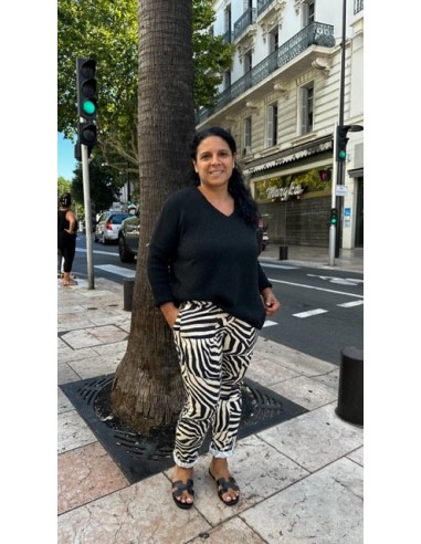 Pantalon Temple Hod Paris. zébre
