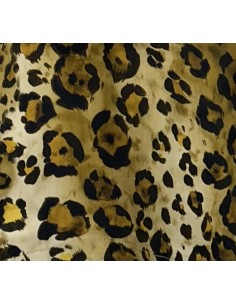 Veste Mauri léo spicy Hod-Paris 2